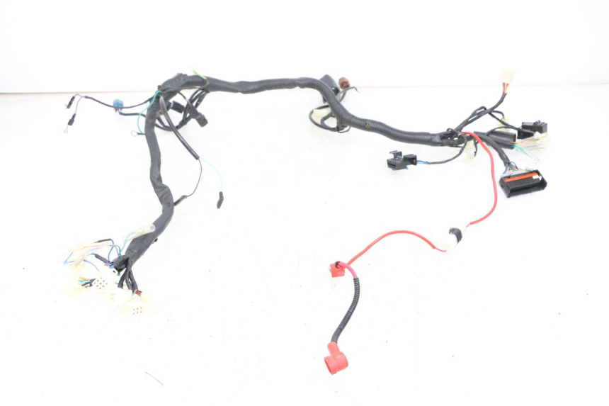 photo de WIRE HARNESS ASTOR ORCAL 125 (2015 - 2017) - Main view