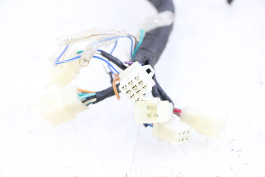 photo de WIRE HARNESS ASTOR ORCAL 125 (2015 - 2017) - Fixing points details