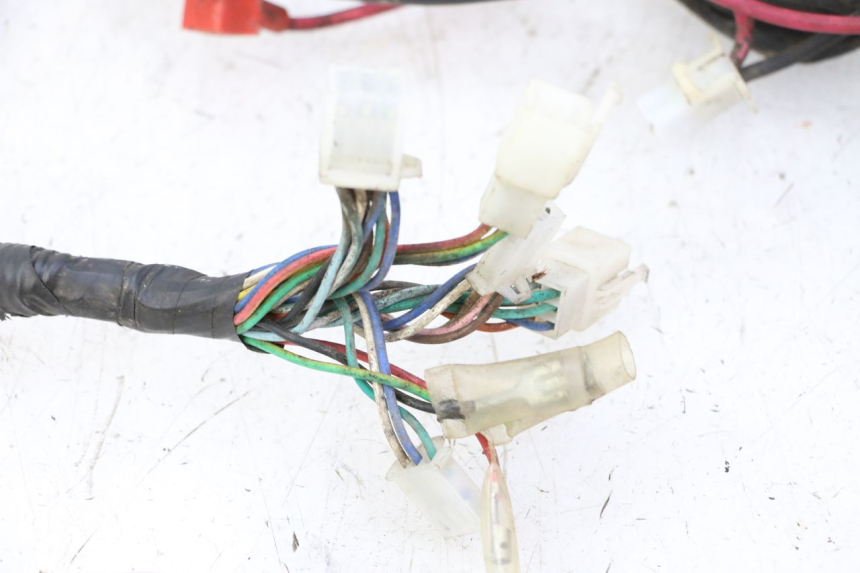 photo de WIRE HARNESS IMF INDUSTRIE PACH 2T 50 (2009 - 2018) - Component zoom