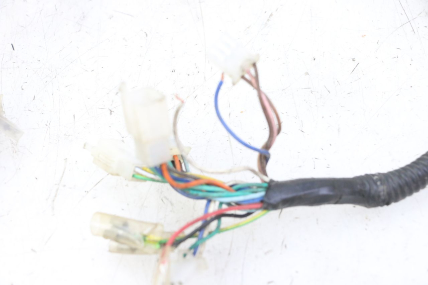 photo de WIRE HARNESS IMF INDUSTRIE PACH 2T 50 (2009 - 2018) - Zoom on usage condition