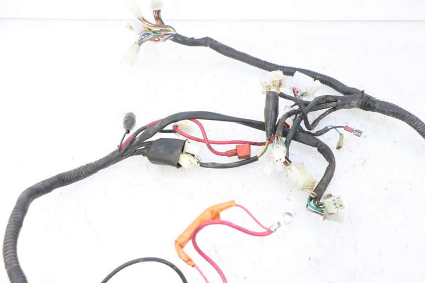 photo de WIRE HARNESS IMF INDUSTRIE PACH 2T 50 (2009 - 2018) - Fixing points details