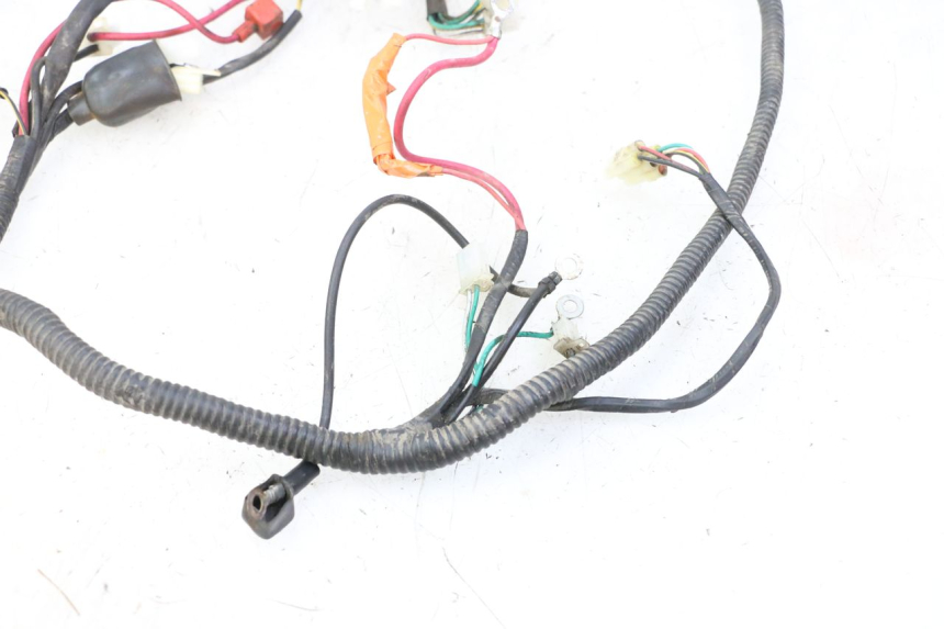 photo de WIRE HARNESS IMF INDUSTRIE PACH 2T 50 (2009 - 2018) - Checked used part
