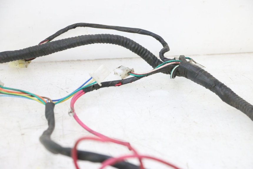 photo de WIRE HARNESS IMF INDUSTRIE PACH 2T 50 (2009 - 2013) - Markings and original references