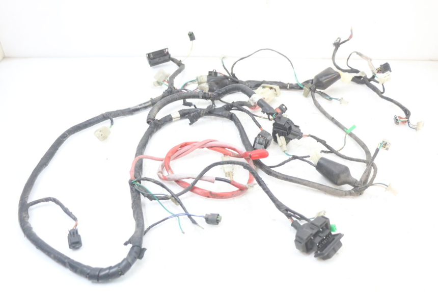 photo de WIRE HARNESS PEUGEOT BELVILLE 125 (2017 - 2021) - Main view