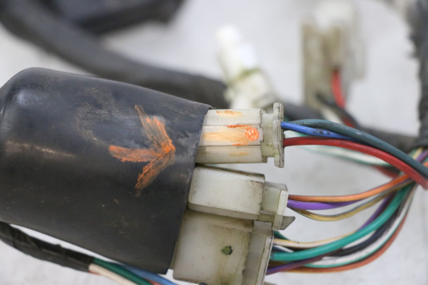 photo de WIRE HARNESS PEUGEOT BELVILLE 125 (2017 - 2021) - Technical close-up