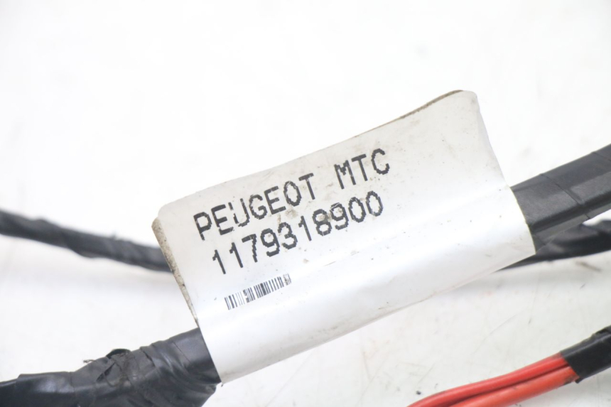 photo de WIRING HARNESS PEUGEOT CITYSTAR 2T 50 (2018 - 2021) - Zoom on usage condition