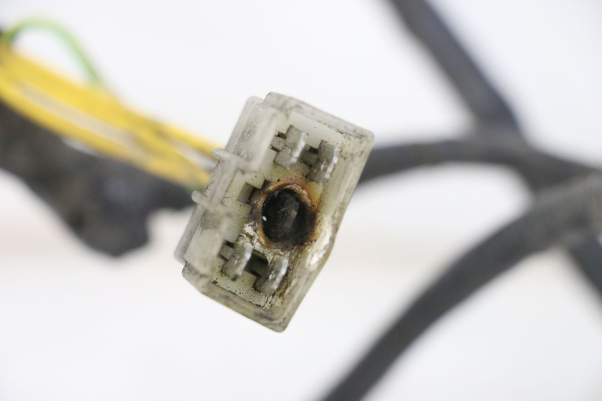 photo de WIRE HARNESS PEUGEOT ELYSTAR 125 (2002 - 2007) - Fixing points details