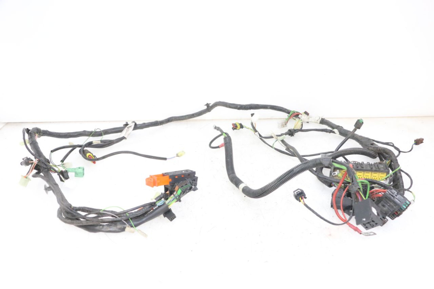 photo de WIRE HARNESS PEUGEOT SATELIS 125 (2013 - 2018) - Main view