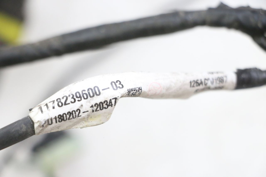 photo de WIRE HARNESS PEUGEOT SATELIS 125 (2013 - 2018) - Zoom on usage condition