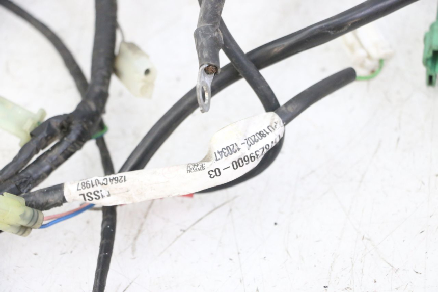 photo de WIRE HARNESS PEUGEOT SATELIS 125 (2013 - 2018) - Fixing points details