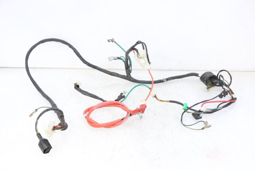 photo de WIRING HARNESS PEUGEOT TWEET 4T 50 (2014 - 2019) - Main view