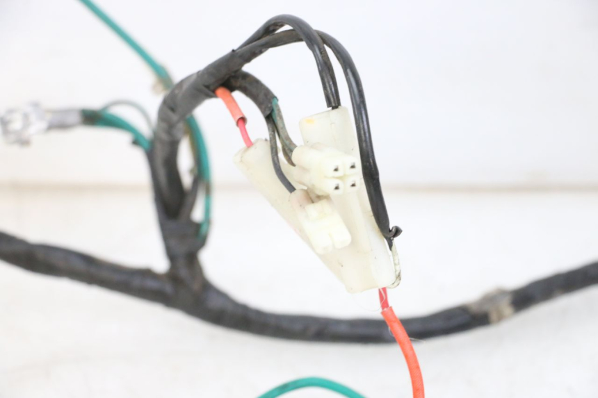 photo de WIRING HARNESS PEUGEOT TWEET 4T 50 (2014 - 2019) - Fixing points details