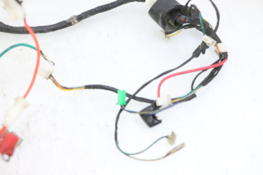 photo de WIRING HARNESS PEUGEOT TWEET 4T 50 (2014 - 2019) - Checked used part