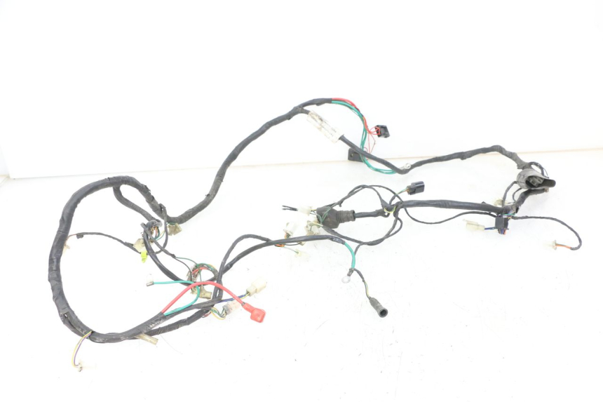 photo de WIRE HARNESS PEUGEOT VIVACITY 125 (2010 - 2017) - Main view