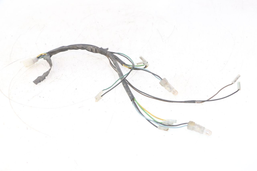 photo de HEADLIGHT WIRE HARNESS YAMAHA YP MAJESTY 125 (2002 - 2006) - Main view