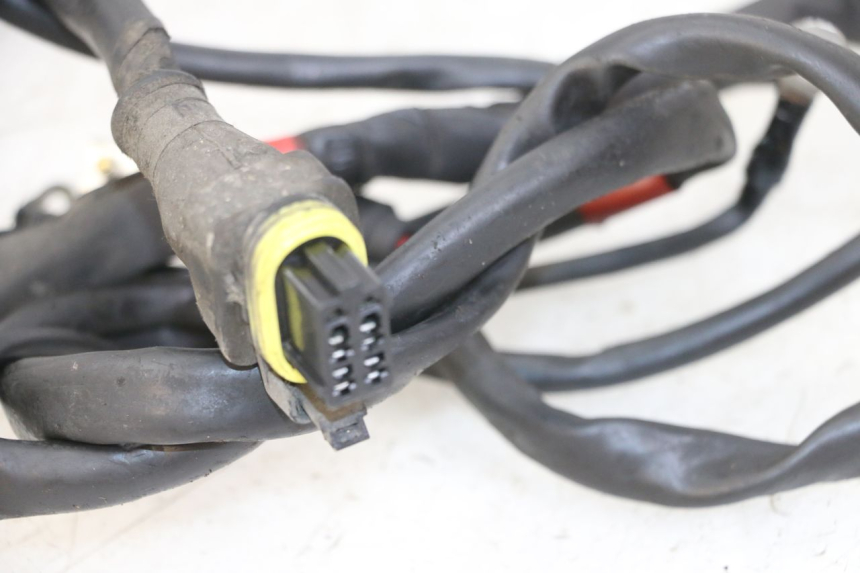 photo de WIRE HARNESS PIAGGIO NEW TYPHOON 50 (2010 - 2017) - Zoom on usage condition