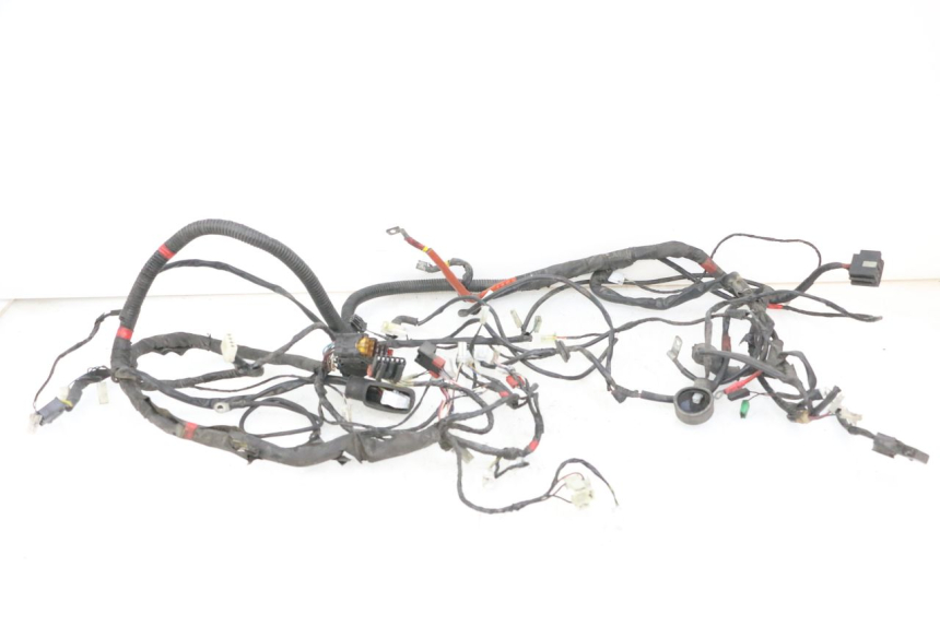 photo de WIRE HARNESS PIAGGIO VESPA GRANTURISMO 200 (2004 - 2005) - Main view