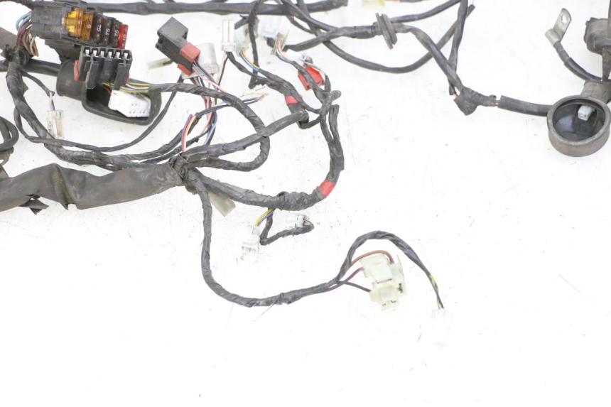 photo de WIRE HARNESS PIAGGIO VESPA GRANTURISMO 200 (2004 - 2005) - Additional view of the item