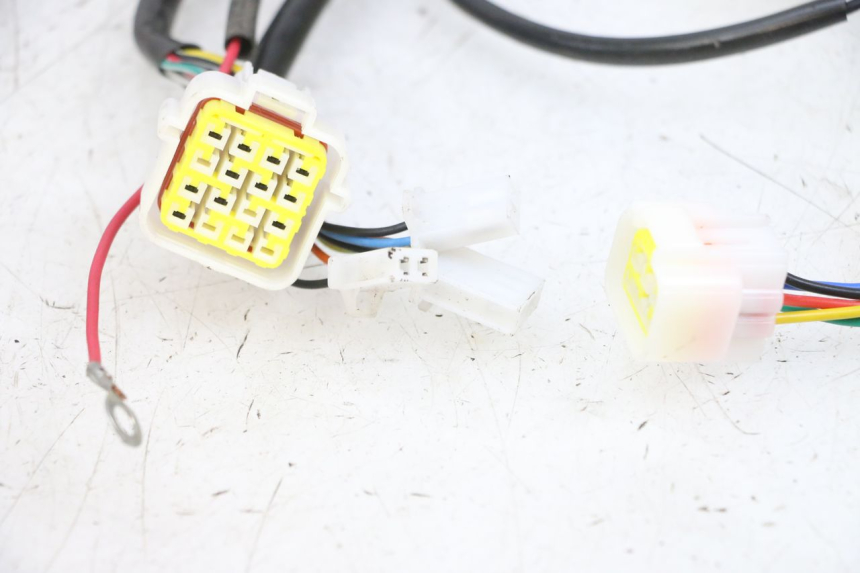 photo de WIRE HARNESS EFUN PUSA 1 - Distinctive features