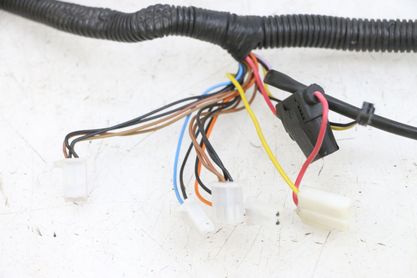 photo de WIRE HARNESS EFUN PUSA 1 - Zoom on usage condition