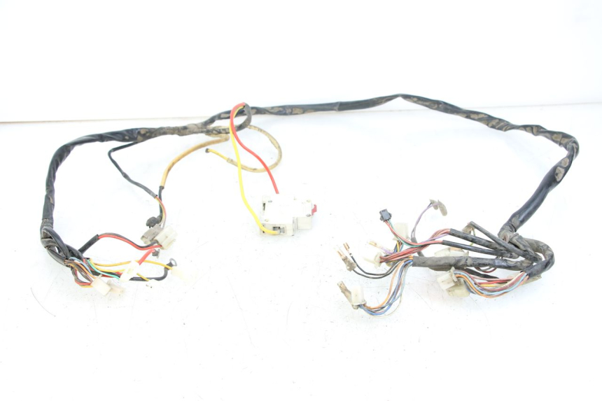 photo de WIRE HARNESS DOLPHIN PYGMY 1 (2020 - 2024) - Main view
