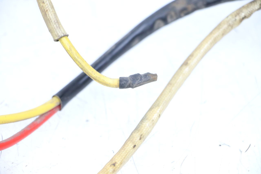 photo de WIRE HARNESS DOLPHIN PYGMY 1 (2020 - 2024) - Zoom on usage condition