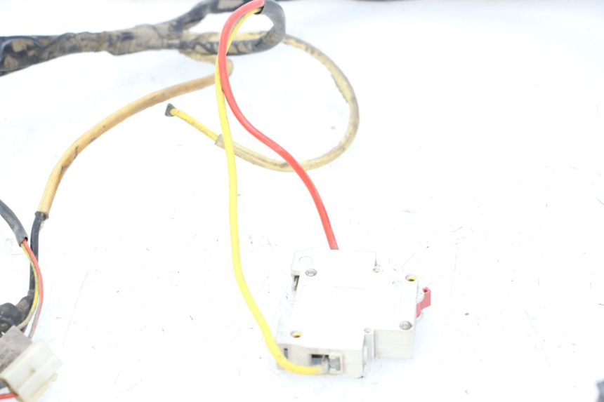 photo de WIRE HARNESS DOLPHIN PYGMY 1 (2020 - 2024) - Product overview