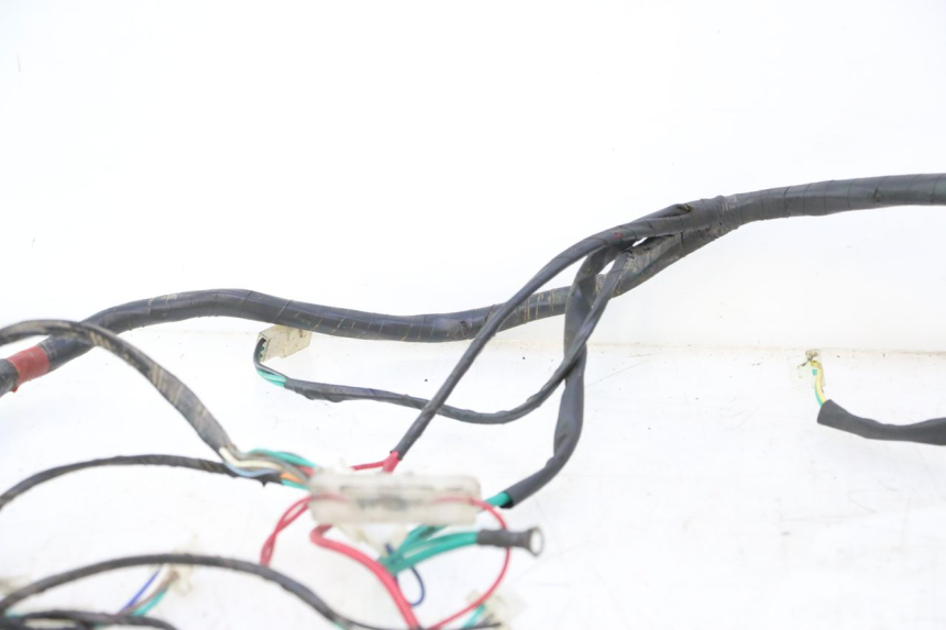 photo de WIRE HARNESS RAZZO QTR 50 (2011 - 2018) - High-resolution close-up