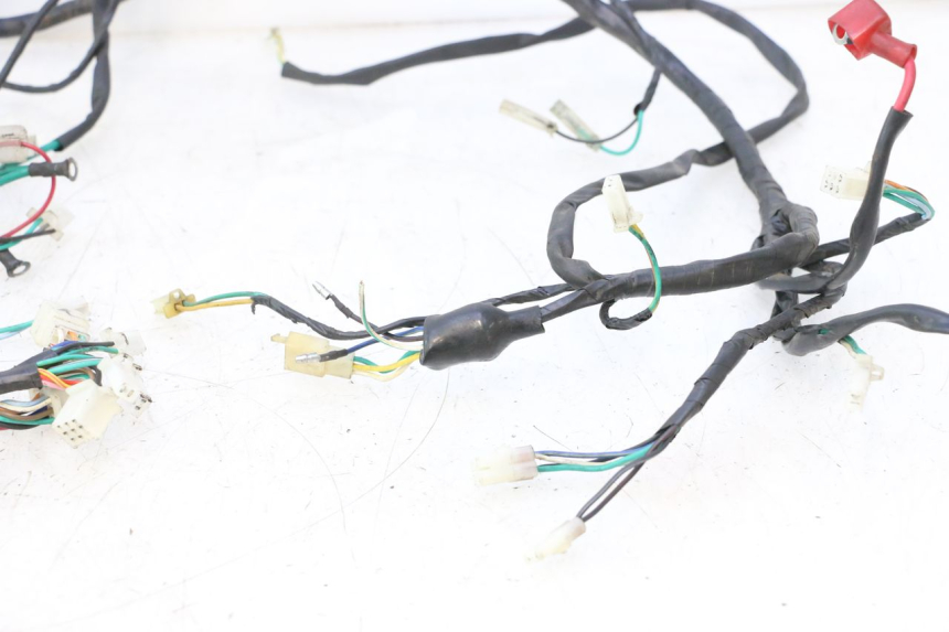 photo de WIRE HARNESS RAZZO QTR 50 (2011 - 2018) - Detailed visual inspection