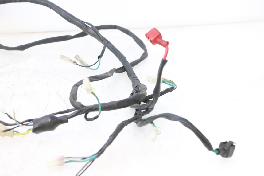 photo de WIRE HARNESS RAZZO QTR 50 (2011 - 2018) - Focus on structure
