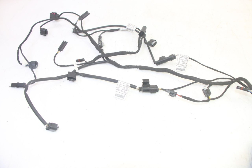 photo de WIRE HARNESS BMW R GS 1250 (2021 - 2024) - Component detail