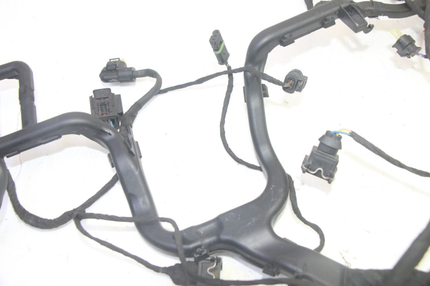 photo de WIRE HARNESS BMW R GS 1250 (2021 - 2024) - Additional view of the item