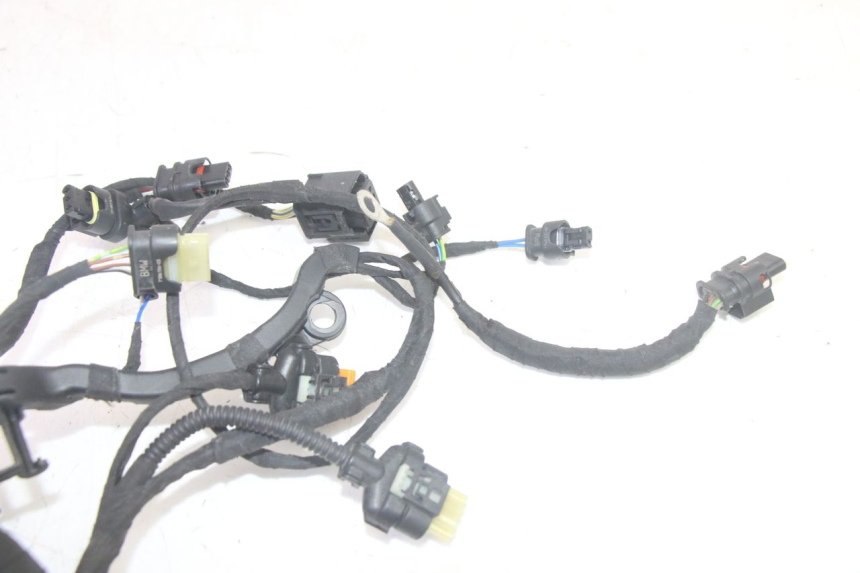 photo de WIRE HARNESS BMW R GS 1250 (2021 - 2024) - Distinctive features