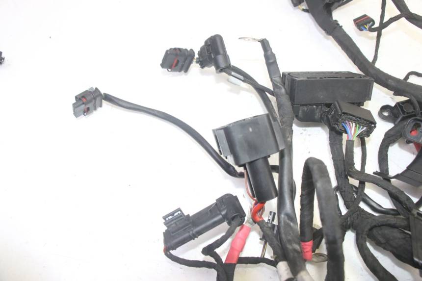 photo de WIRE HARNESS BMW R GS 1250 (2021 - 2024) - Alternative perspective