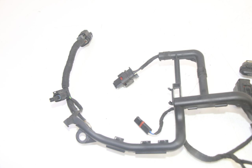 photo de WIRE HARNESS BMW R GS 1250 (2021 - 2024) - Markings and original references