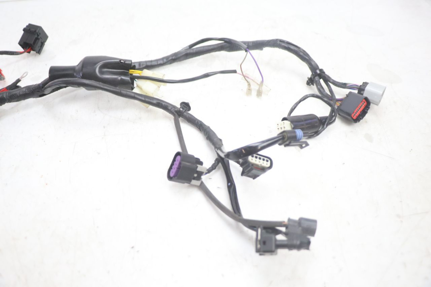 photo de WIRE HARNESS JM MOTORS R-MAX TECH 50 (2024 - 2026) - Technical close-up
