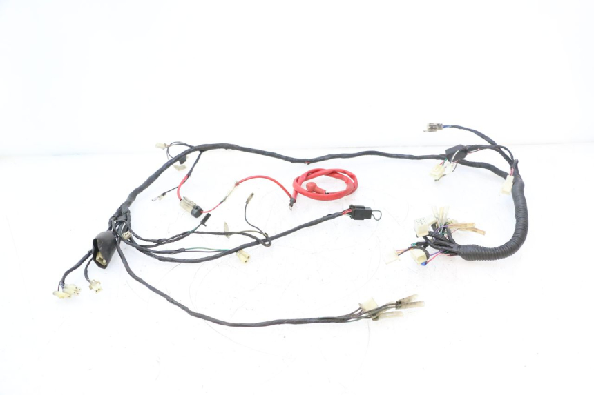 photo de WIRE HARNESS RIDE RACE GT 2T 50 (2012 - 2017) - Main view