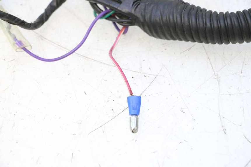 photo de WIRE HARNESS RIDE RACE GT 2T 50 (2012 - 2017) - Zoom on usage condition