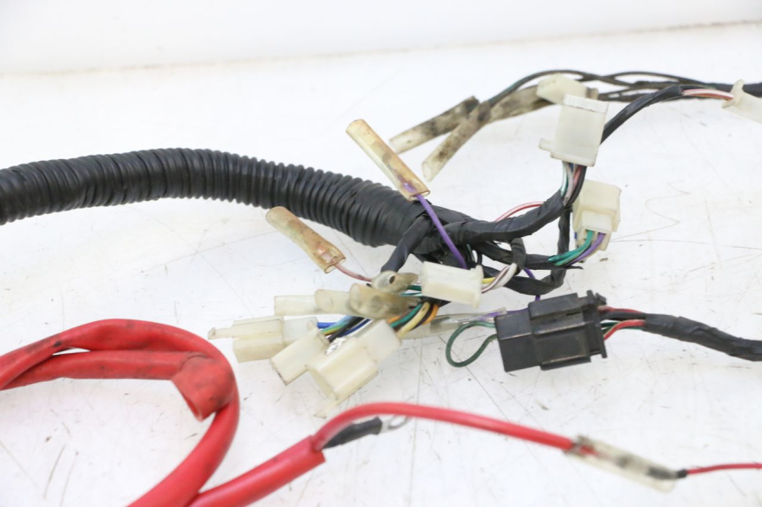 photo de WIRE HARNESS RIDE RACE GT 2T 50 (2012 - 2017) - Technical close-up