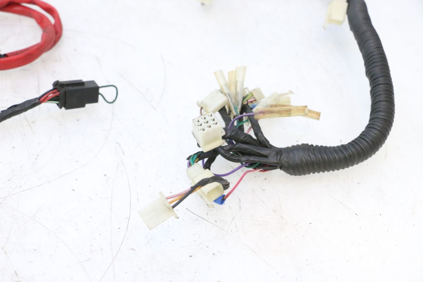 photo de WIRE HARNESS RIDE RACE GT 2T 50 (2012 - 2017) - Surface and material condition