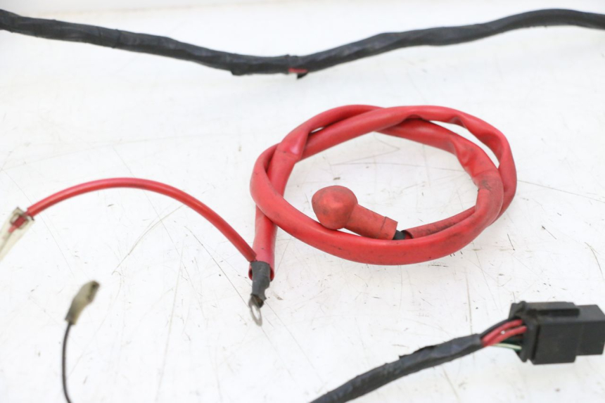 photo de WIRE HARNESS RIDE RACE GT 2T 50 (2012 - 2017) - Markings and original references
