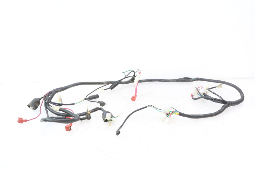 photo de WIRE HARNESS ORCAL RAPTOR 50 (2015 - 2021) - Main view