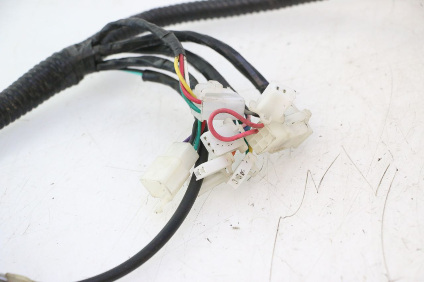 photo de WIRE HARNESS ORCAL RAPTOR 50 (2015 - 2021) - Alternative perspective