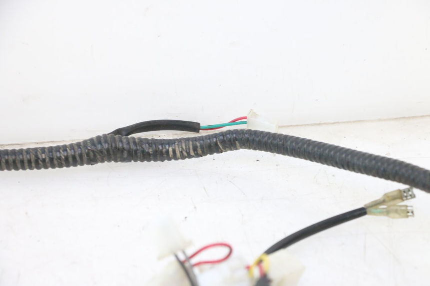 photo de WIRE HARNESS ORCAL RAPTOR 50 (2015 - 2021) - Surface and material condition