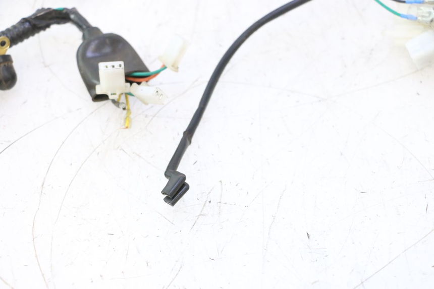 photo de WIRE HARNESS ORCAL RAPTOR 50 (2015 - 2021) - Markings and original references