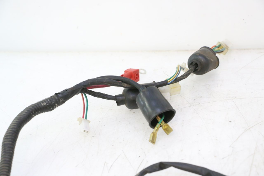 photo de WIRE HARNESS LAZIO RENO 50 (2016 - 2021) - Component detail