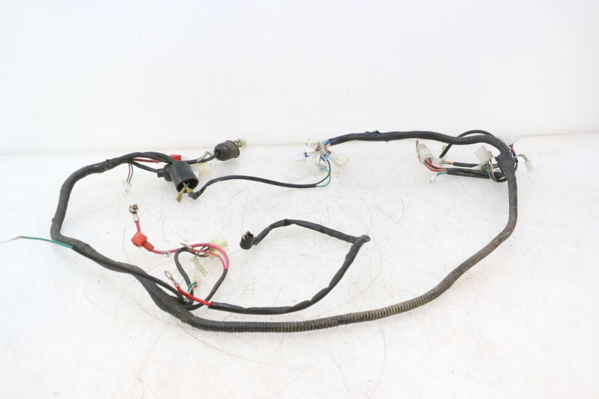 photo de WIRE HARNESS LAZIO RENO 50 (2016 - 2021) - Technical close-up