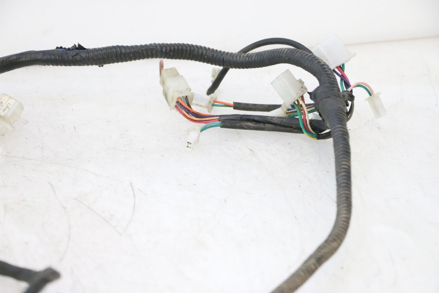 photo de WIRE HARNESS LAZIO RENO 50 (2016 - 2021) - Product overview