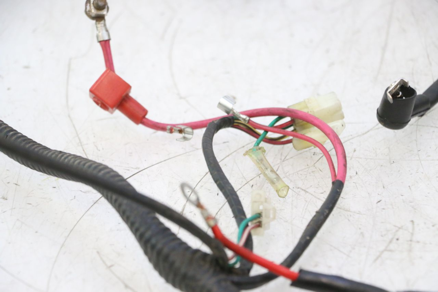 photo de WIRE HARNESS LAZIO RENO 50 (2016 - 2021) - Surface and material condition