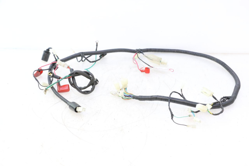 photo de WIRE HARNESS LAZIO RENO 50 (2016 - 2021) - Main view